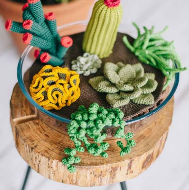 Free Crochet Pattern for Succulents Plants ⋆ Crochet Kingdom